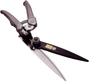 Toolsa-1.gif (6197 bytes)