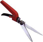 Toolsa-2.gif (5009 bytes)