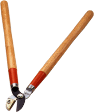 Toolsa-9.gif (8237 bytes)